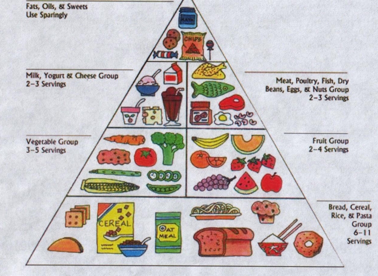 Printable New Food Pyramid